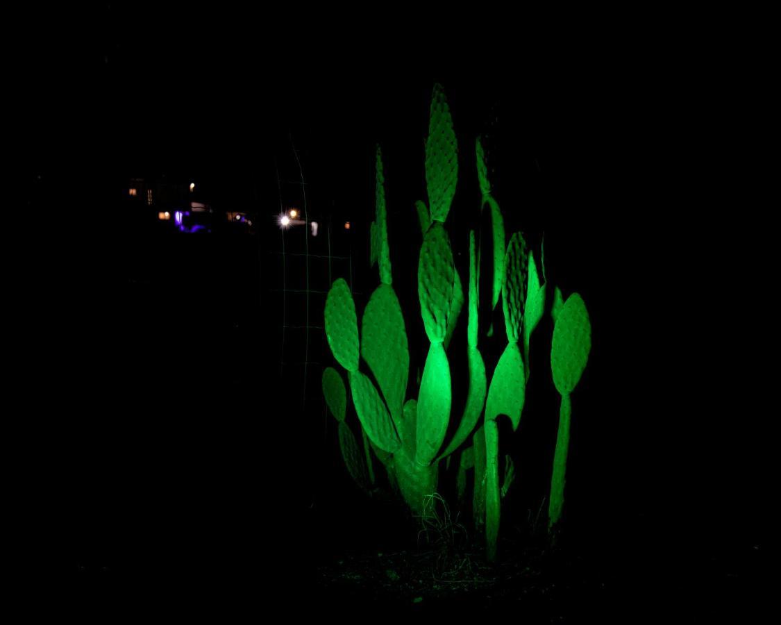 Moonlight Suite Arad צימר אור הירח, ערד Exteriér fotografie